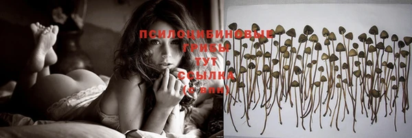 ПСИЛОЦИБИНОВЫЕ ГРИБЫ Богданович