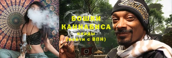 ПСИЛОЦИБИНОВЫЕ ГРИБЫ Богданович