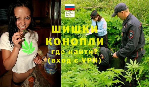 индика Белоозёрский