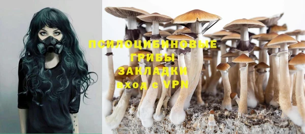 ПСИЛОЦИБИНОВЫЕ ГРИБЫ Богданович